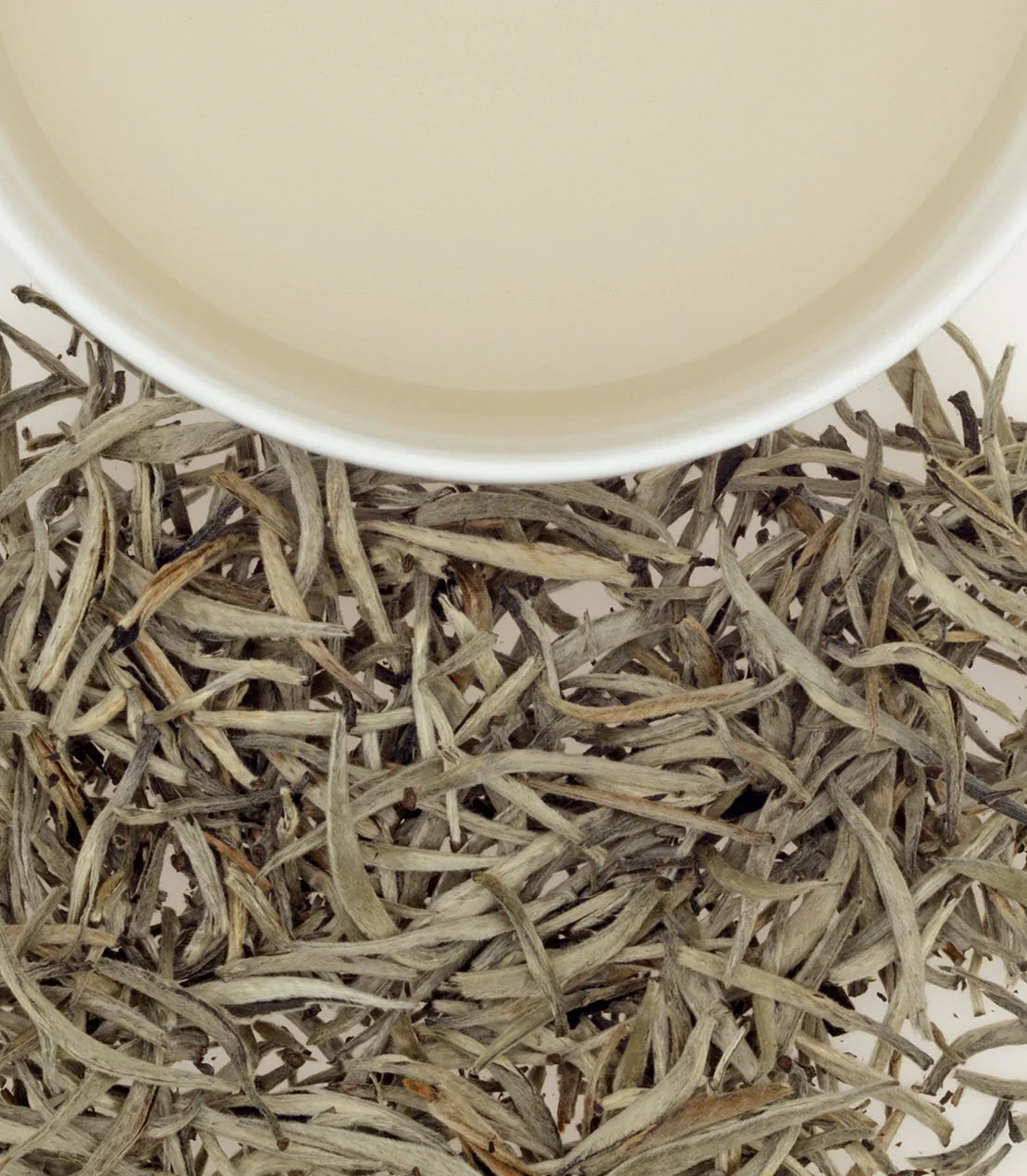 Ceylon Vintage Silver Tips