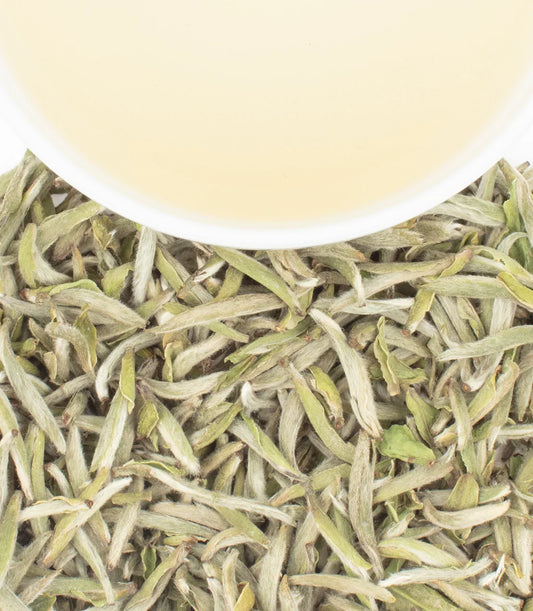 Chinese Silver Needle